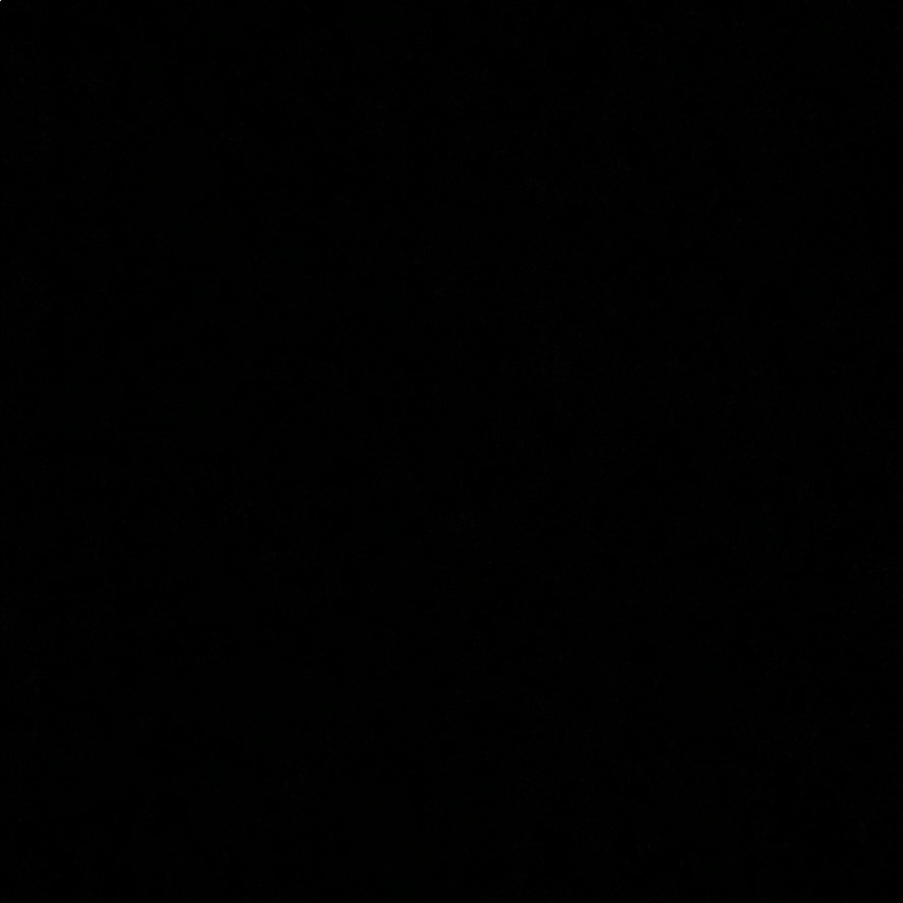 Meet your Posher, Maddie